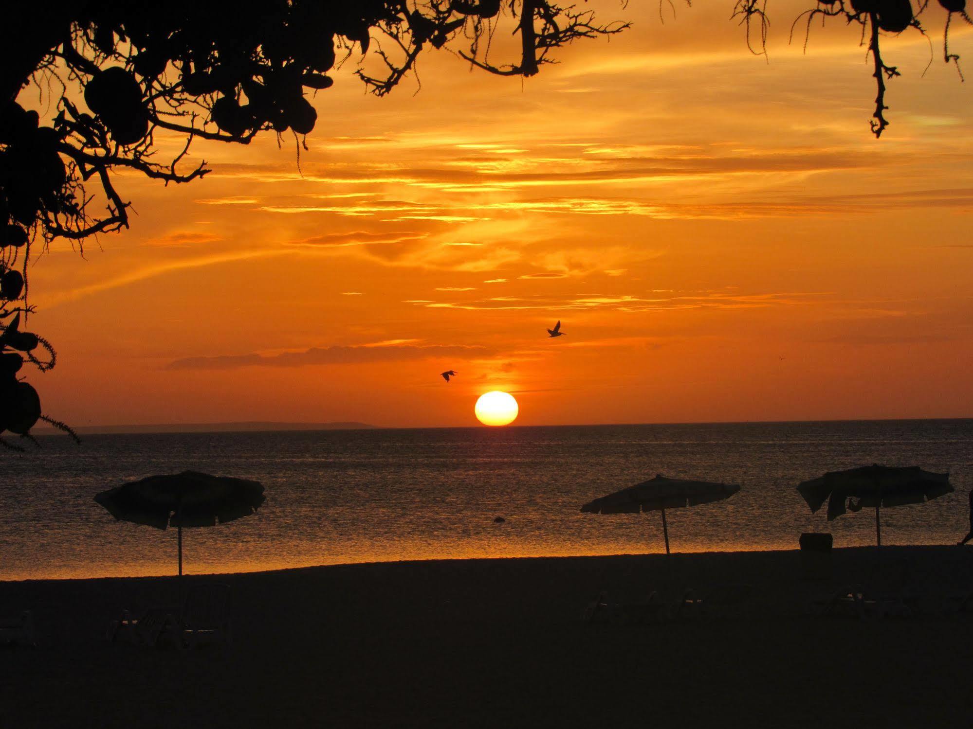 Coche Paradise Isla de Coche Экстерьер фото